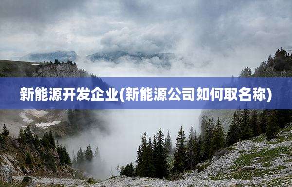 新能源开发企业(新能源公司如何取名称)