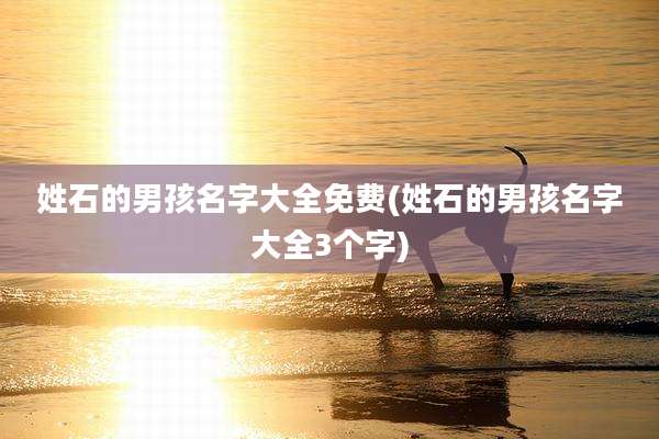 姓石的男孩名字大全免费(姓石的男孩名字大全3个字)