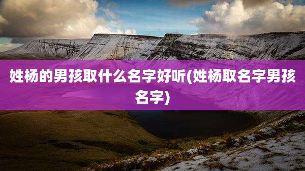 姓杨的男孩取什么名字好听(姓杨取名字男孩名字)