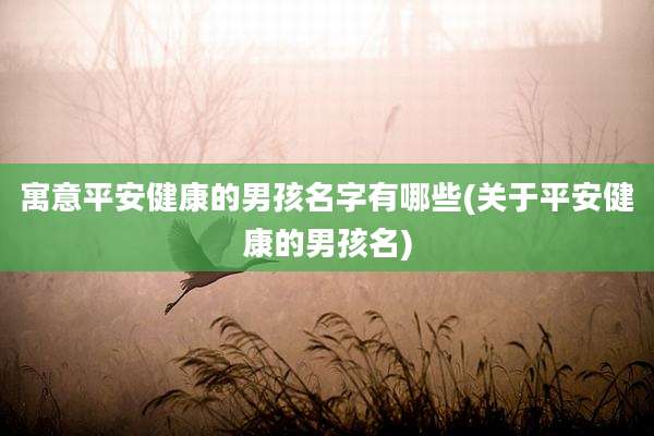 寓意平安健康的男孩名字有哪些(关于平安健康的男孩名)