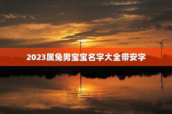 2023属兔男宝宝名字大全带安字