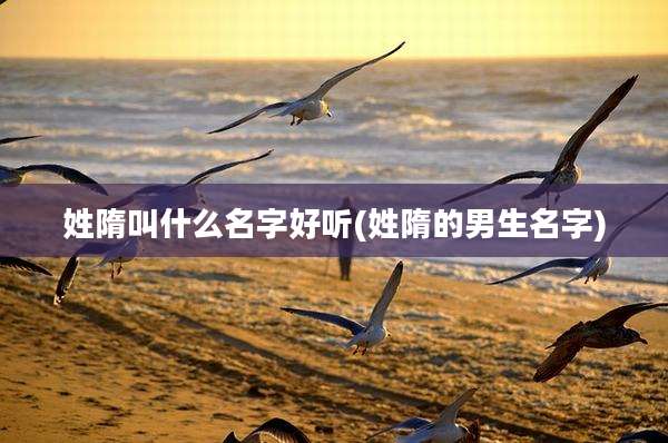 姓隋叫什么名字好听(姓隋的男生名字)