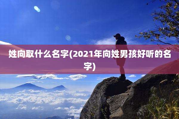姓向取什么名字(2021年向姓男孩好听的名字)