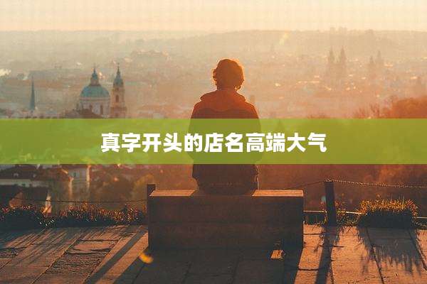 真字开头的店名高端大气