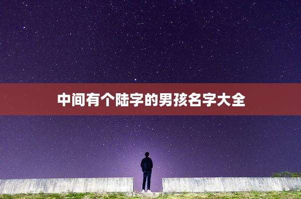 中间有个陆字的男孩名字大全
