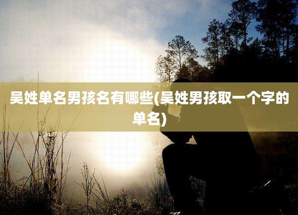 吴姓单名男孩名有哪些(吴姓男孩取一个字的单名)