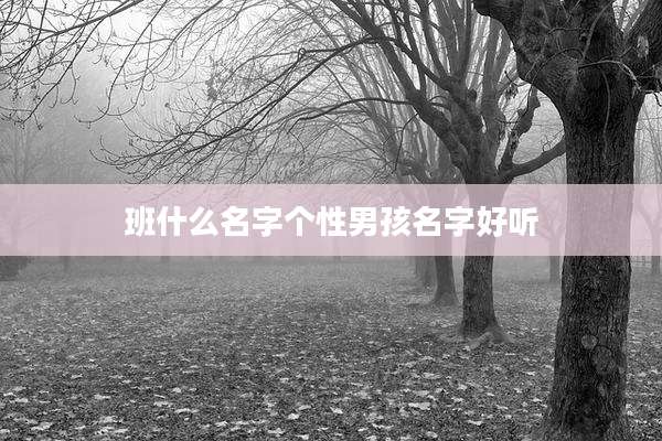 班什么名字个性男孩名字好听