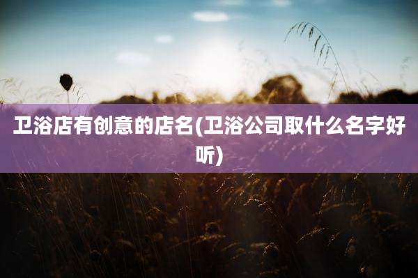 卫浴店有创意的店名(卫浴公司取什么名字好听)