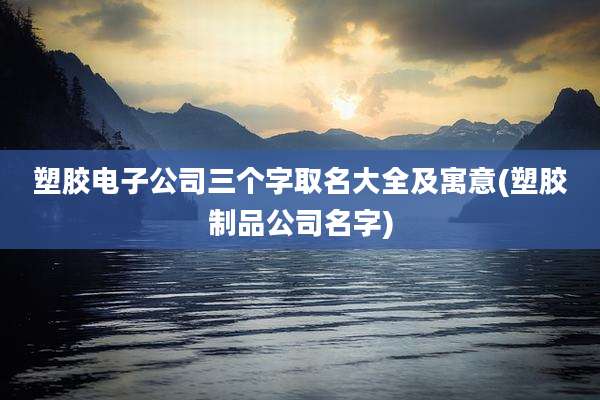 塑胶电子公司三个字取名大全及寓意(塑胶制品公司名字)