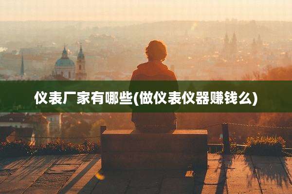 仪表厂家有哪些(做仪表仪器赚钱么)