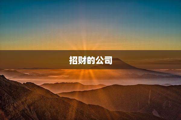 招财的公司