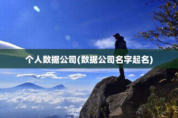 个人数据公司(数据公司名字起名)