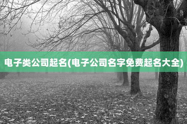 电子类公司起名(电子公司名字免费起名大全)