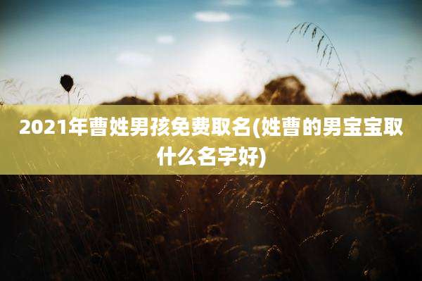 2021年曹姓男孩免费取名(姓曹的男宝宝取什么名字好)