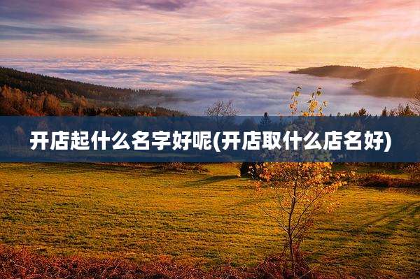 开店起什么名字好呢(开店取什么店名好)