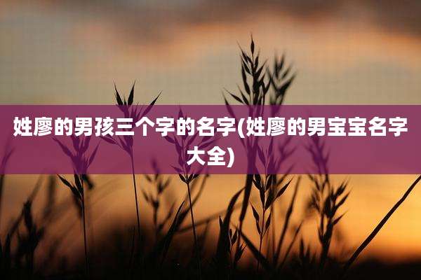 姓廖的男孩三个字的名字(姓廖的男宝宝名字大全)