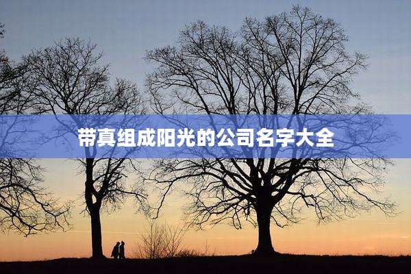 带真组成阳光的公司名字大全