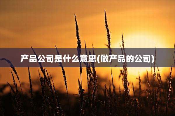 产品公司是什么意思(做产品的公司)