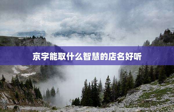 京字能取什么智慧的店名好听