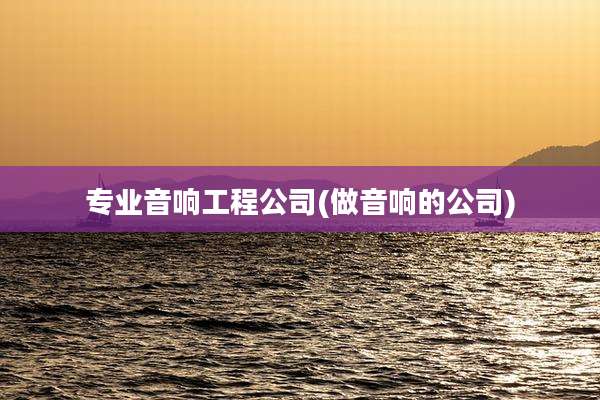 专业音响工程公司(做音响的公司)