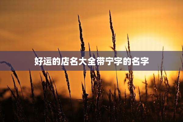 好运的店名大全带宁字的名字