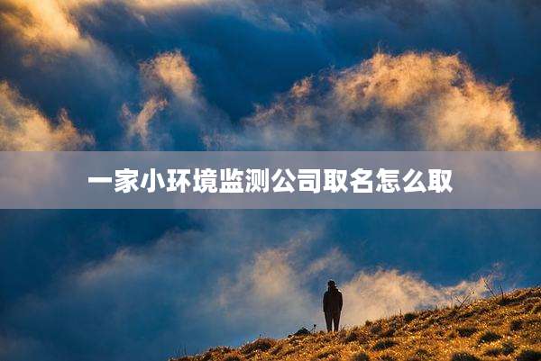 一家小环境监测公司取名怎么取