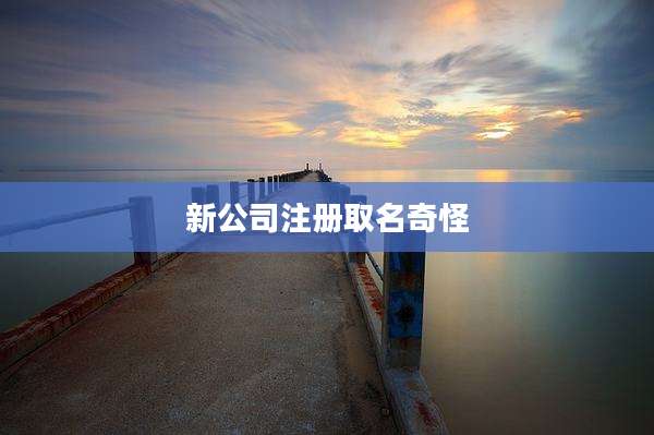 新公司注册取名奇怪