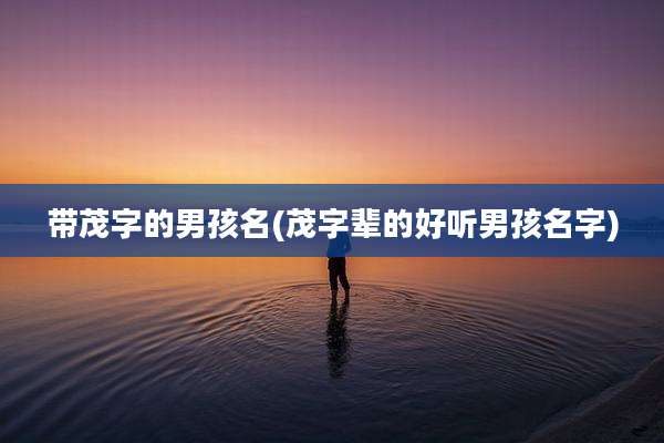 带茂字的男孩名(茂字辈的好听男孩名字)
