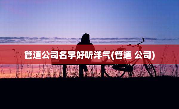 管道公司名字好听洋气(管道 公司)