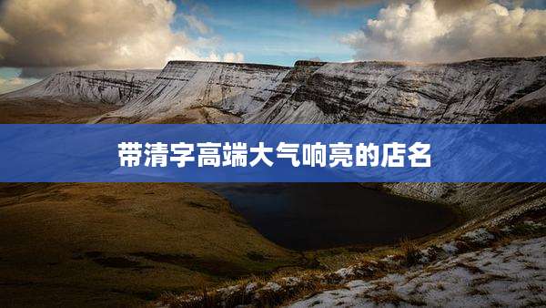 带清字高端大气响亮的店名