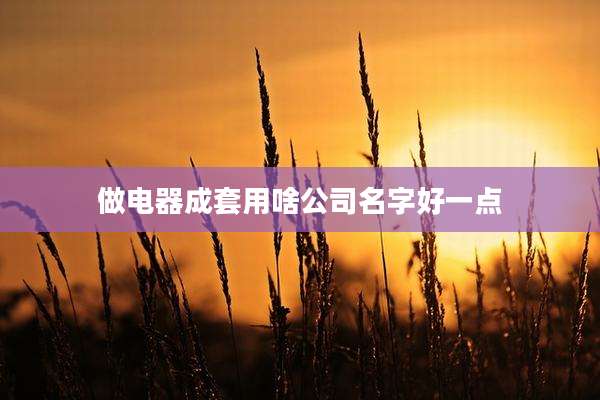 做电器成套用啥公司名字好一点