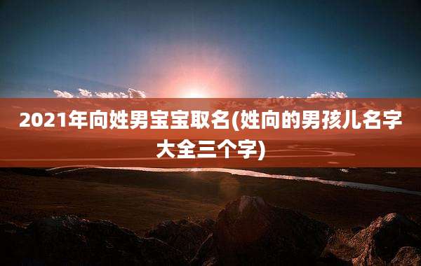 2021年向姓男宝宝取名(姓向的男孩儿名字大全三个字)