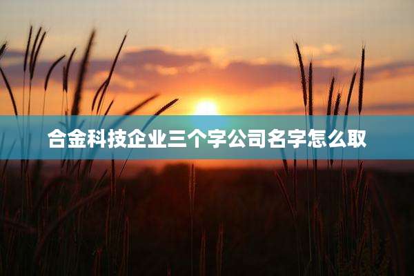 合金科技企业三个字公司名字怎么取