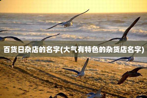 百货日杂店的名字(大气有特色的杂货店名字)