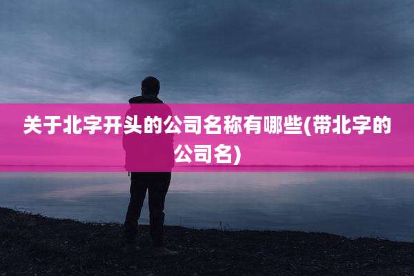 关于北字开头的公司名称有哪些(带北字的公司名)
