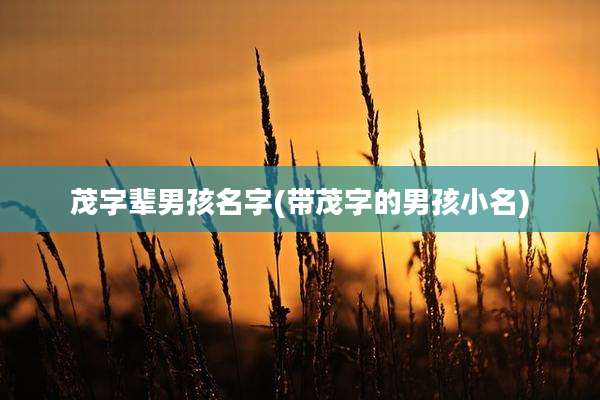 茂字辈男孩名字(带茂字的男孩小名)