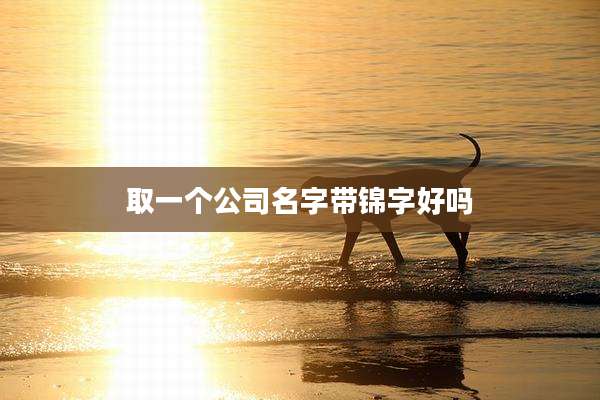 取一个公司名字带锦字好吗