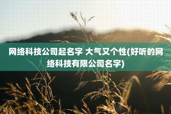网络科技公司起名字 大气又个性(好听的网络科技有限公司名字)