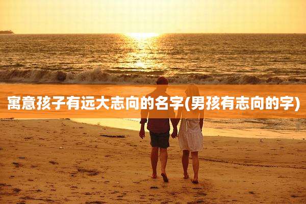 寓意孩子有远大志向的名字(男孩有志向的字)