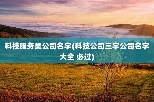 科技服务类公司名字(科技公司三字公司名字大全 必过)