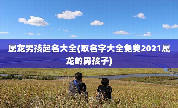 属龙男孩起名大全(取名字大全免费2021属龙的男孩子)