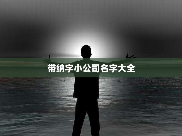 带纳字小公司名字大全