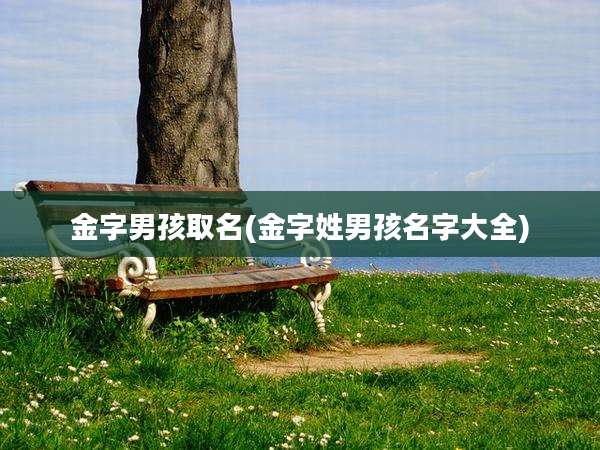 金字男孩取名(金字姓男孩名字大全)