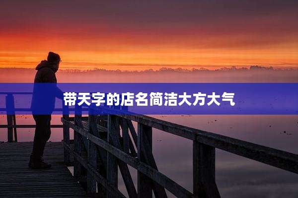 带天字的店名简洁大方大气