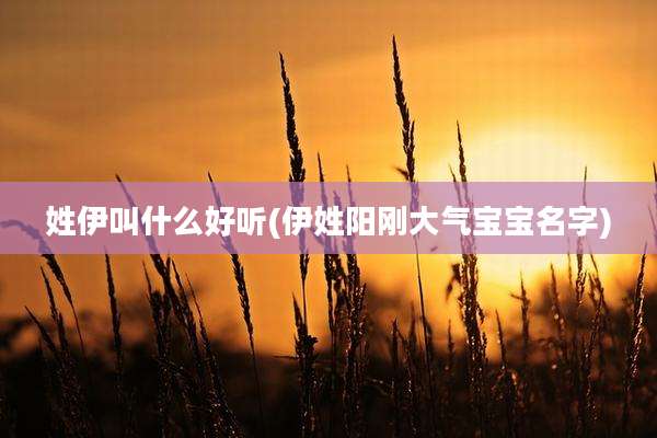 姓伊叫什么好听(伊姓阳刚大气宝宝名字)