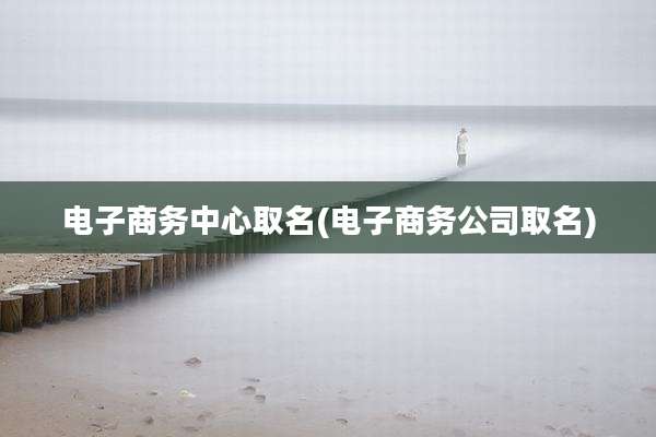 电子商务中心取名(电子商务公司取名)