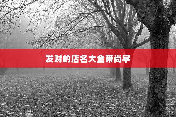 发财的店名大全带尚字