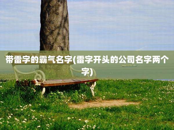 带雷字的霸气名字(雷字开头的公司名字两个字)