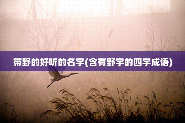 带野的好听的名字(含有野字的四字成语)