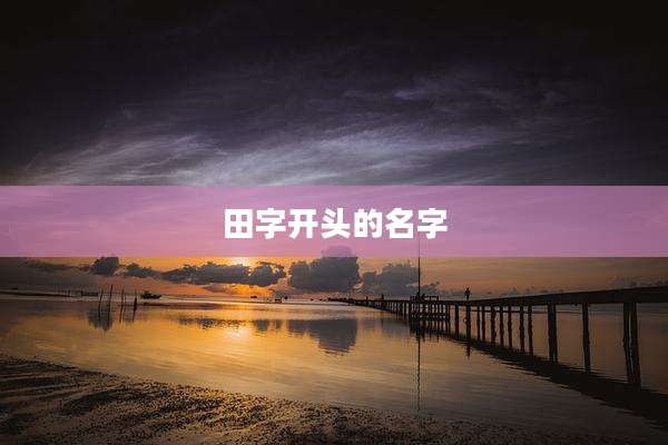田字开头的名字